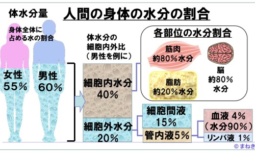 氯雷他定价格表-氯它雷定价格网—知名的氯雷他定价格多少钱一盒网站,分享氯雷他定价格知识